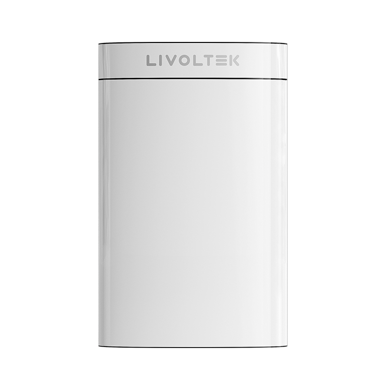 low-voltage battery